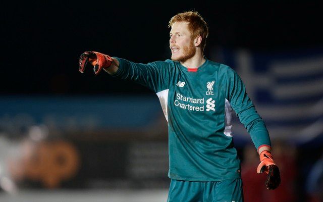 Football Soccer - Exeter City v Liverpool - FA Cup Third Round - St James' Park - 8/1/16 
Liverpool's Adam Bogdan 
Action Images via Reuters / Henry Browne 
Livepic 
EDITORIAL USE ONLY. No use with unauthorized audio, video, data, fixture lists, club/league logos or 