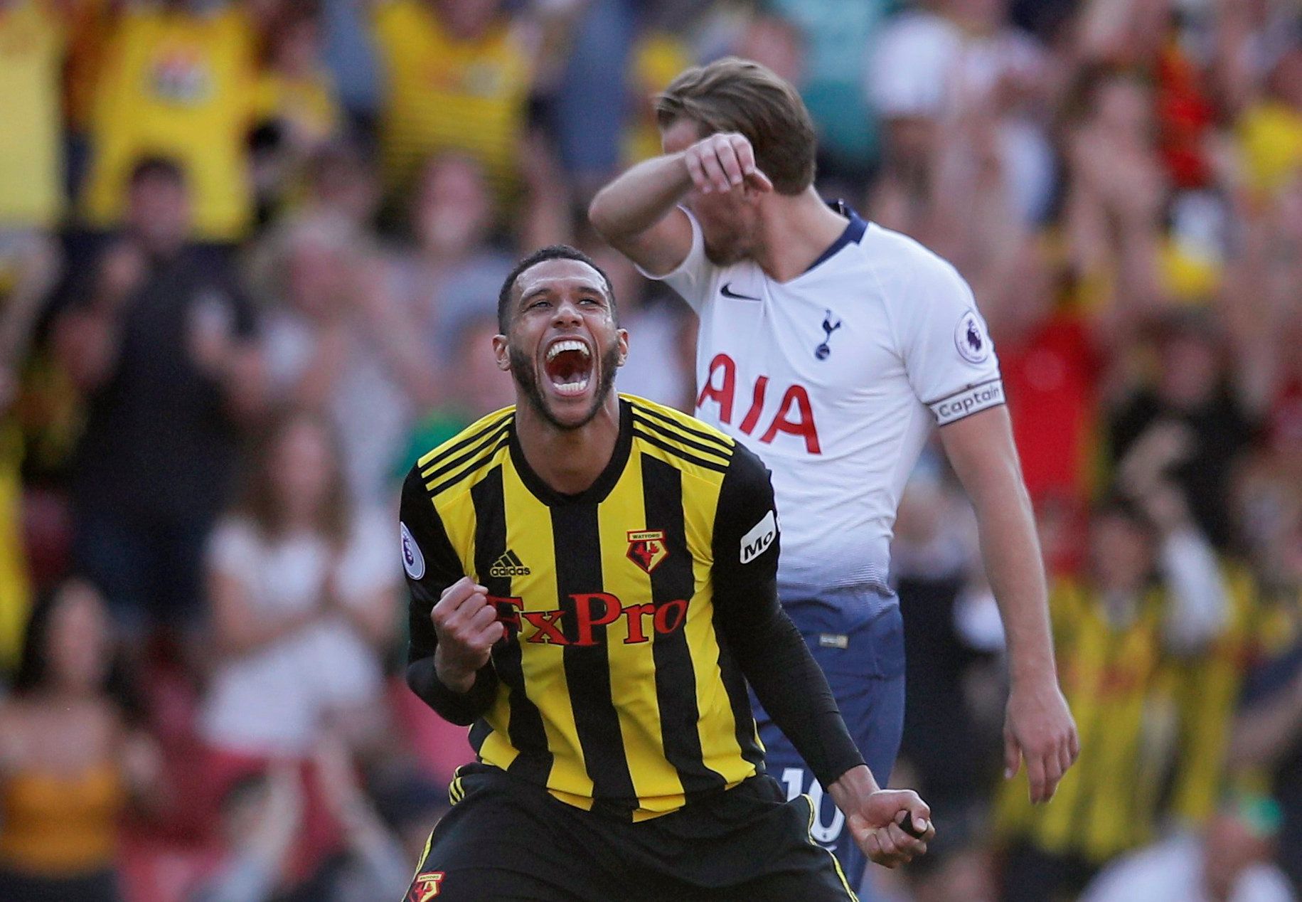 Etienne Capoue celebrates Watford's goal versus Tottenham
