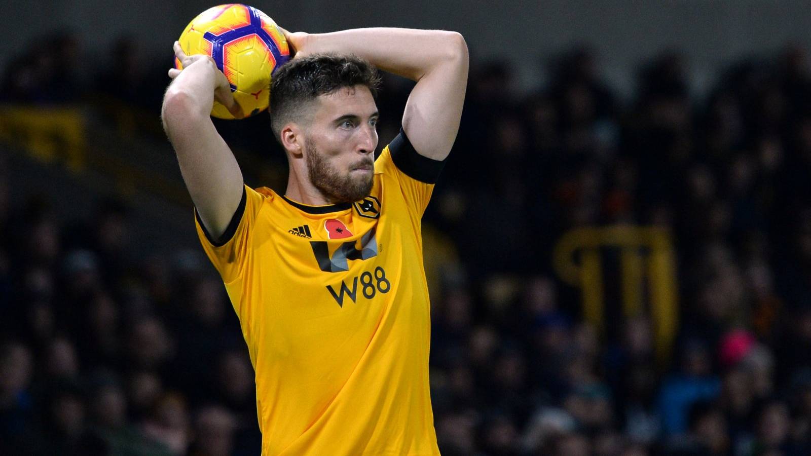 Wolves legend Bull wants Doherty to re-sign