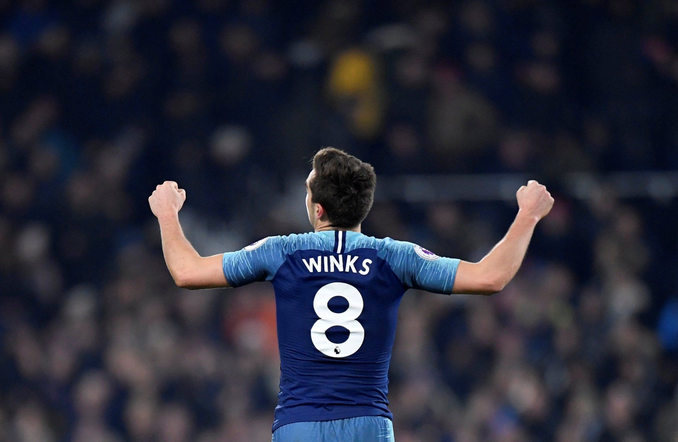 Harry Winks celebrates scoring for Tottenham Hotspur against Fulham
