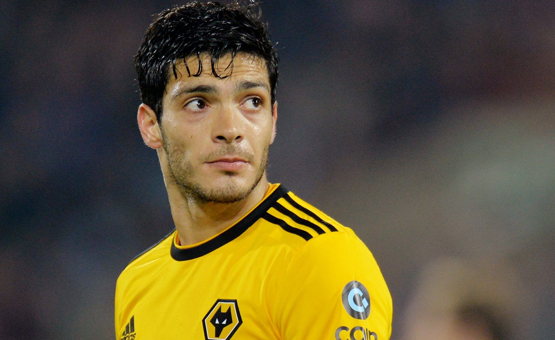 Raul Jimenez in action for Wolves this season. 