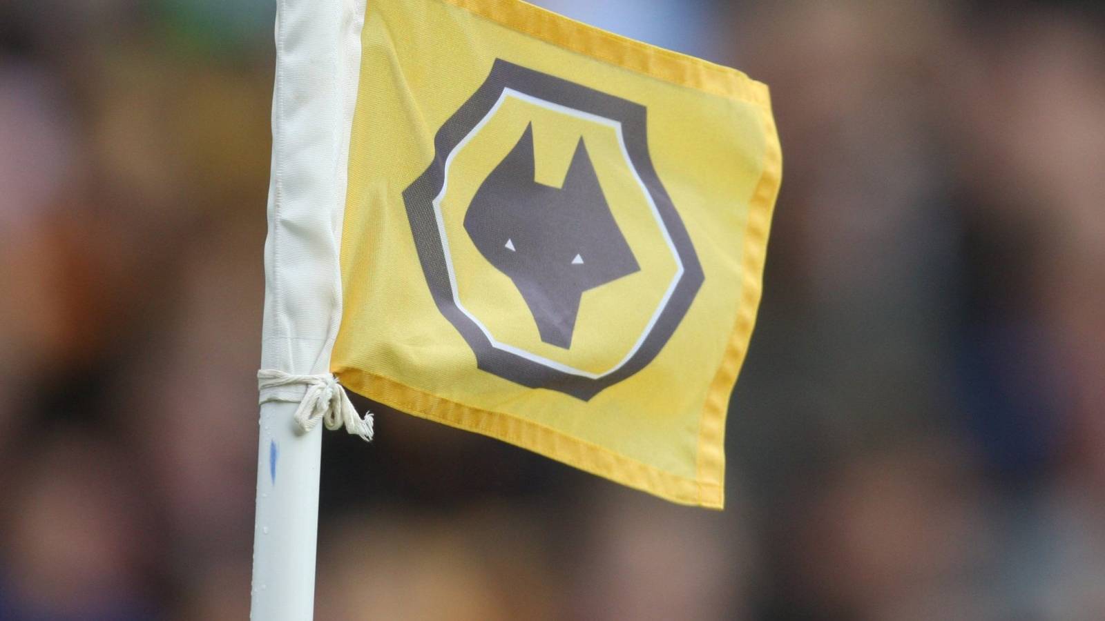 In the Pipeline: Wolves target Jamie Hamilton