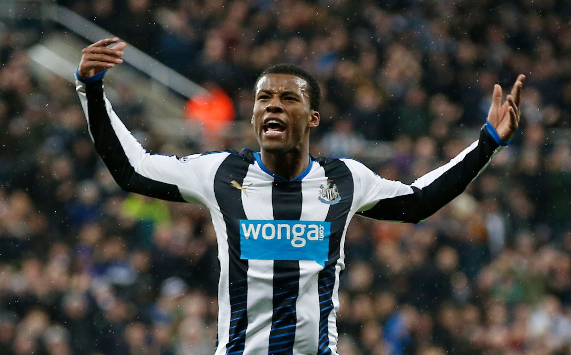 Football Soccer - Newcastle United v Manchester United - Barclays Premier League - St James' Park - 12/1/16 
Georginio Wijnaldum celebrates after scoring the first goal for Newcastle 
Reuters / Andrew Yates 
Livepic 
EDITORIAL USE ONLY. No use with unauthorized audio, video, data, fixture lists, club/league logos or 
