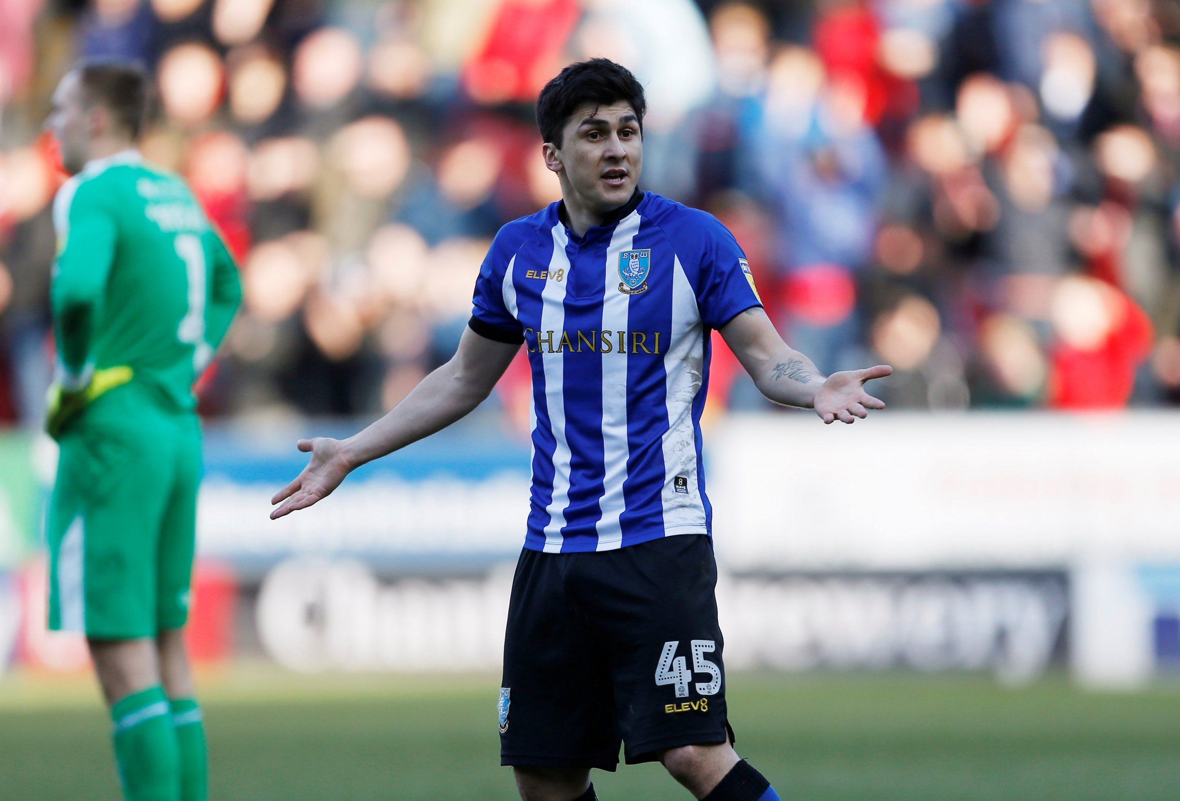 Sheffield Wednesday fans discuss Fernando Forestieri