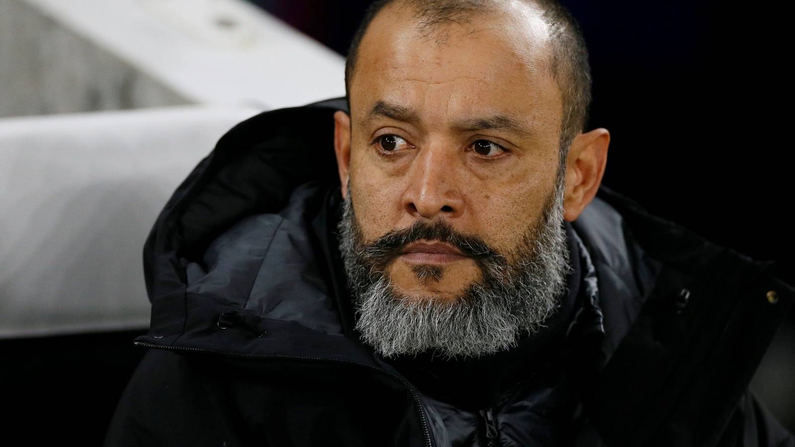 Wolves must strengthen in key areas says Tim Spiers