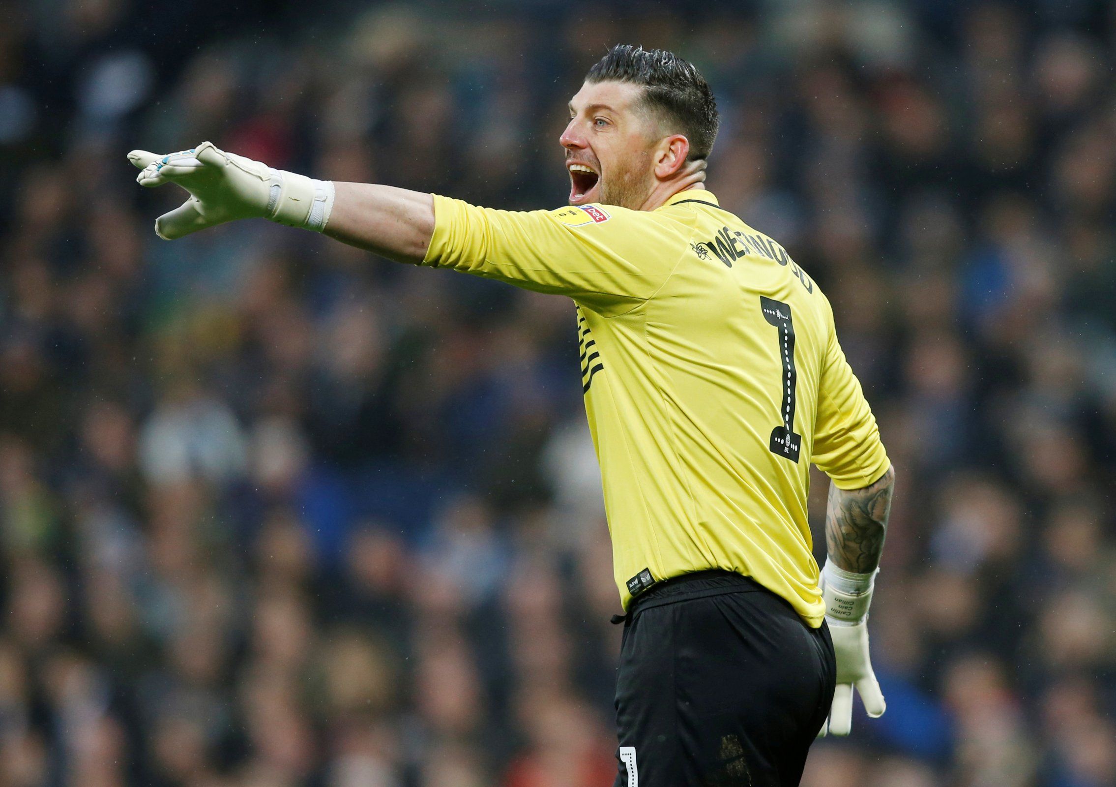 sheffield wednesday keiren westwood reacts vs west brom championship