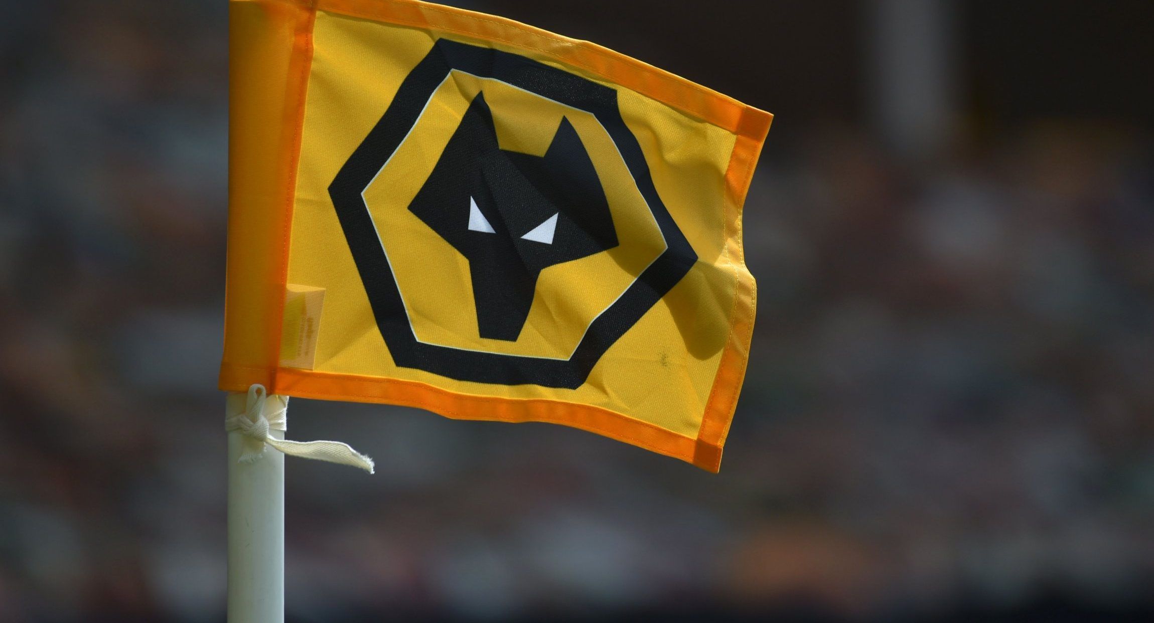 Wolves should unleash Marques on Sunday