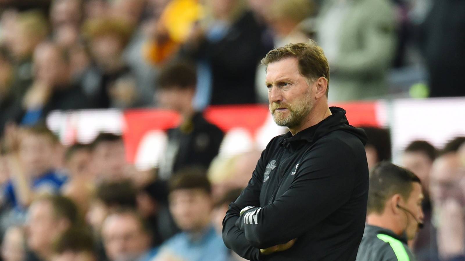 Southampton: Report makes Cullen claim