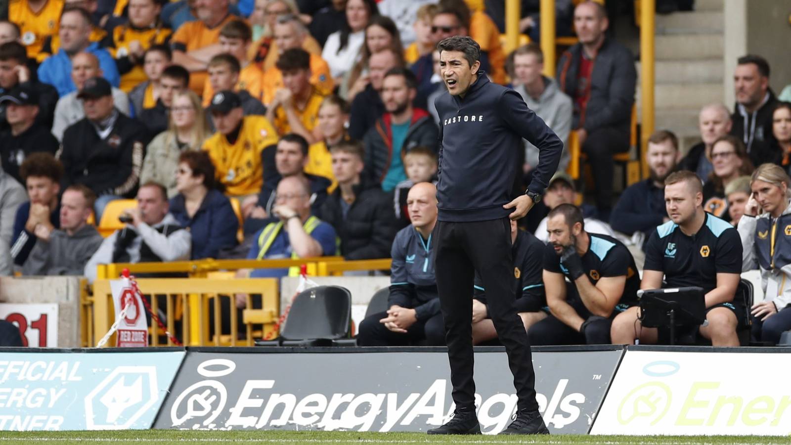 Wolves may have a future star in Kandola
