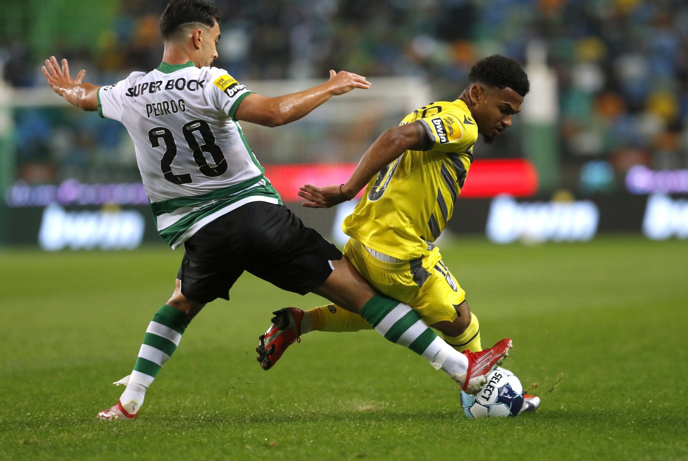 Vitoria winger Marcus Edwards in action against Sporting Lisbon in Primeira Liga