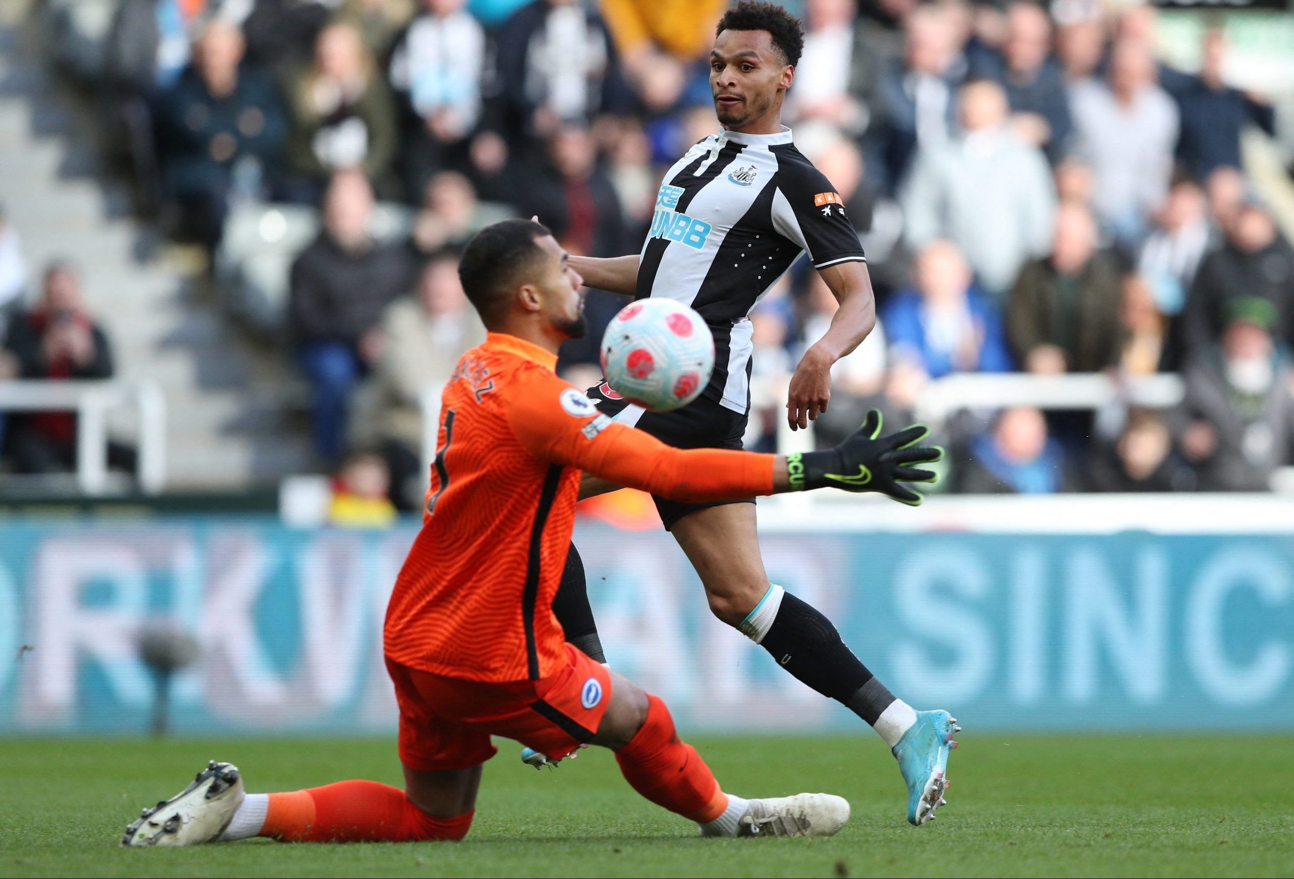 Soccer Football - Premier League - Newcastle United v Brighton &amp; Hove Albion - St James' Park, Newcastle, Britain - March 5, 2022 Brighton &amp; Hove Albion's Robert Sanchez saves a shot from Newcastle United's Jacob Murphy REUTERS/Scott Heppell EDITORIAL USE ONLY. No use with unauthorized audio, video, data, fixture lists, club/league logos or 'live' services. Online in-match use limited to 75 images, no video emulation. No use in betting, games or single club /league/player publications.  