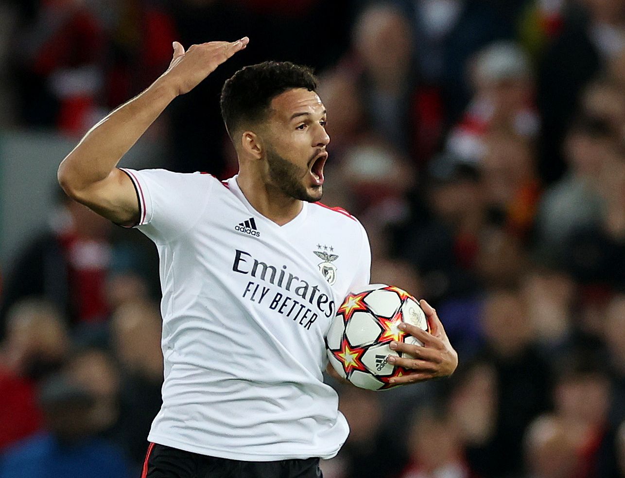 Wolves, Wolverhampton Wanderers, Wolves transfer focus, Wolves transfer rumours, Wolves transfer latest, Wolves transfer news, Wolves news, Bruno Lage, Molineux, Goncalo Ramos, Benfica