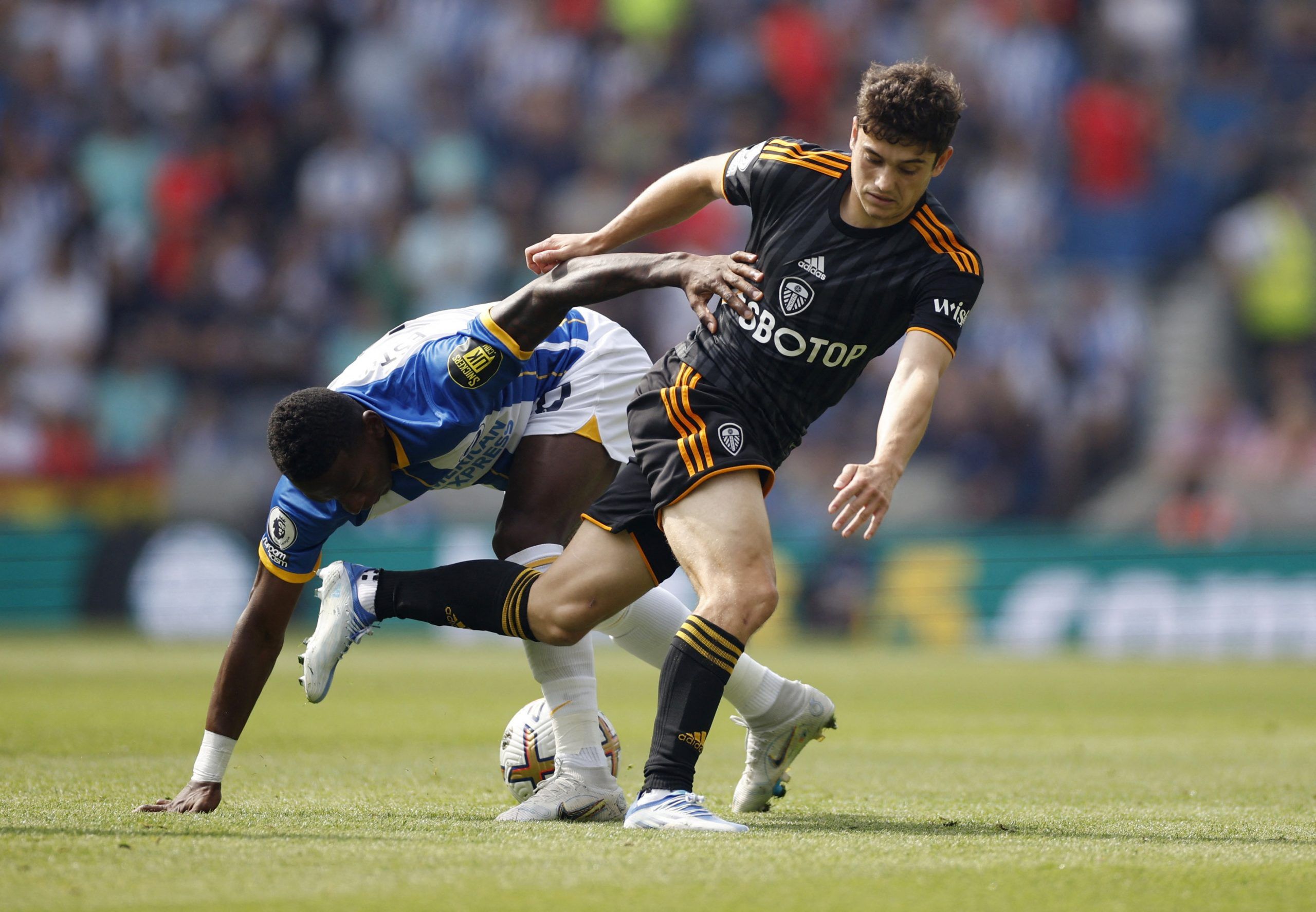 Brighton & Hove Albion's Pervis Estupinan in action with Leeds United's Daniel James