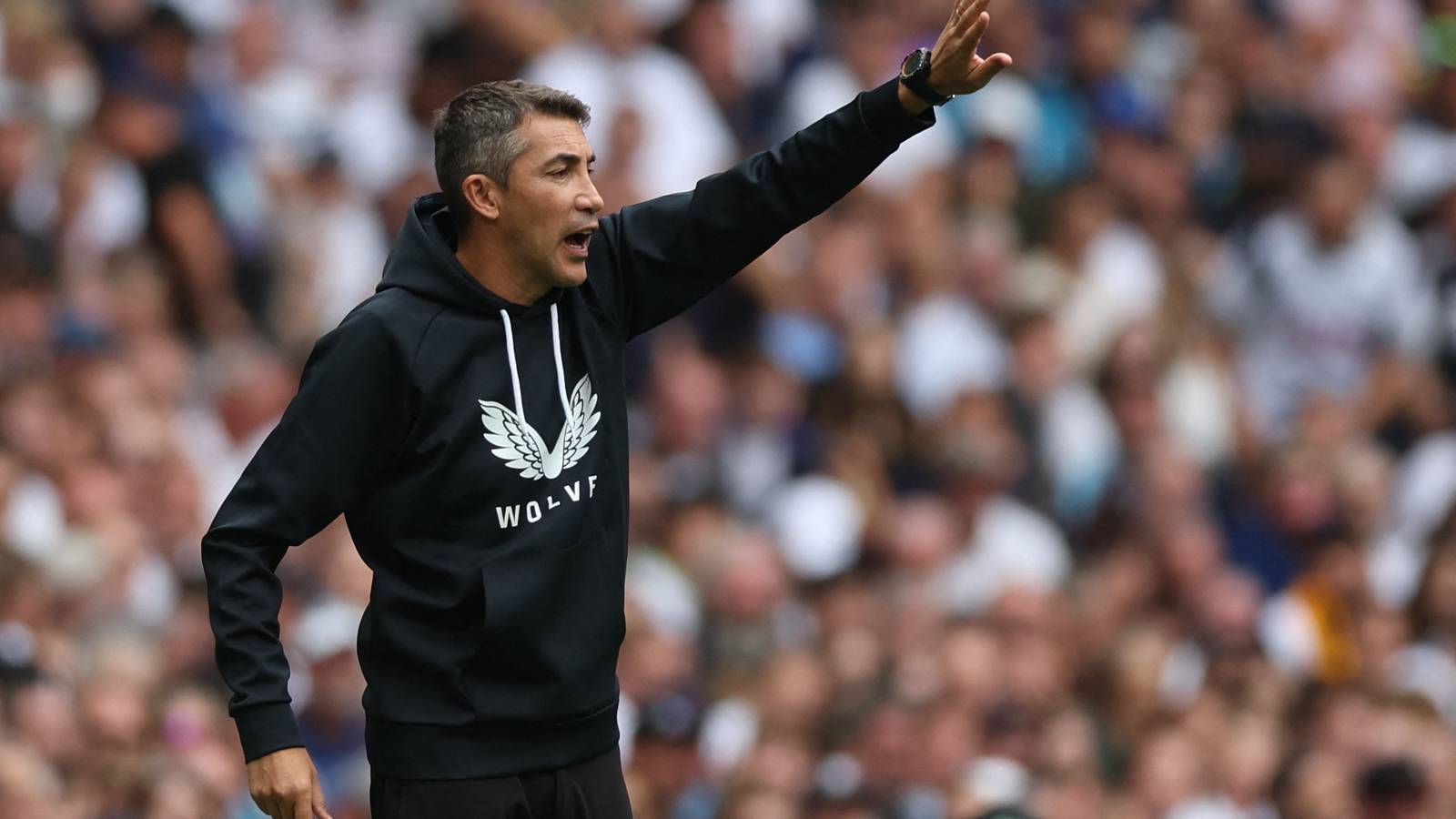 Wolves are taking a big risk at centre-back