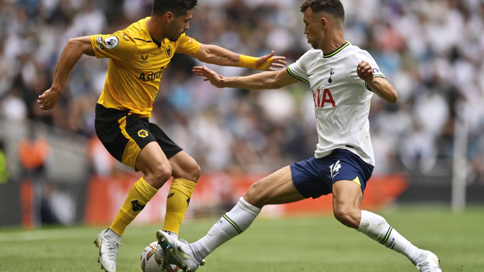 Wolves suffer 'terrible' Neto injury blow