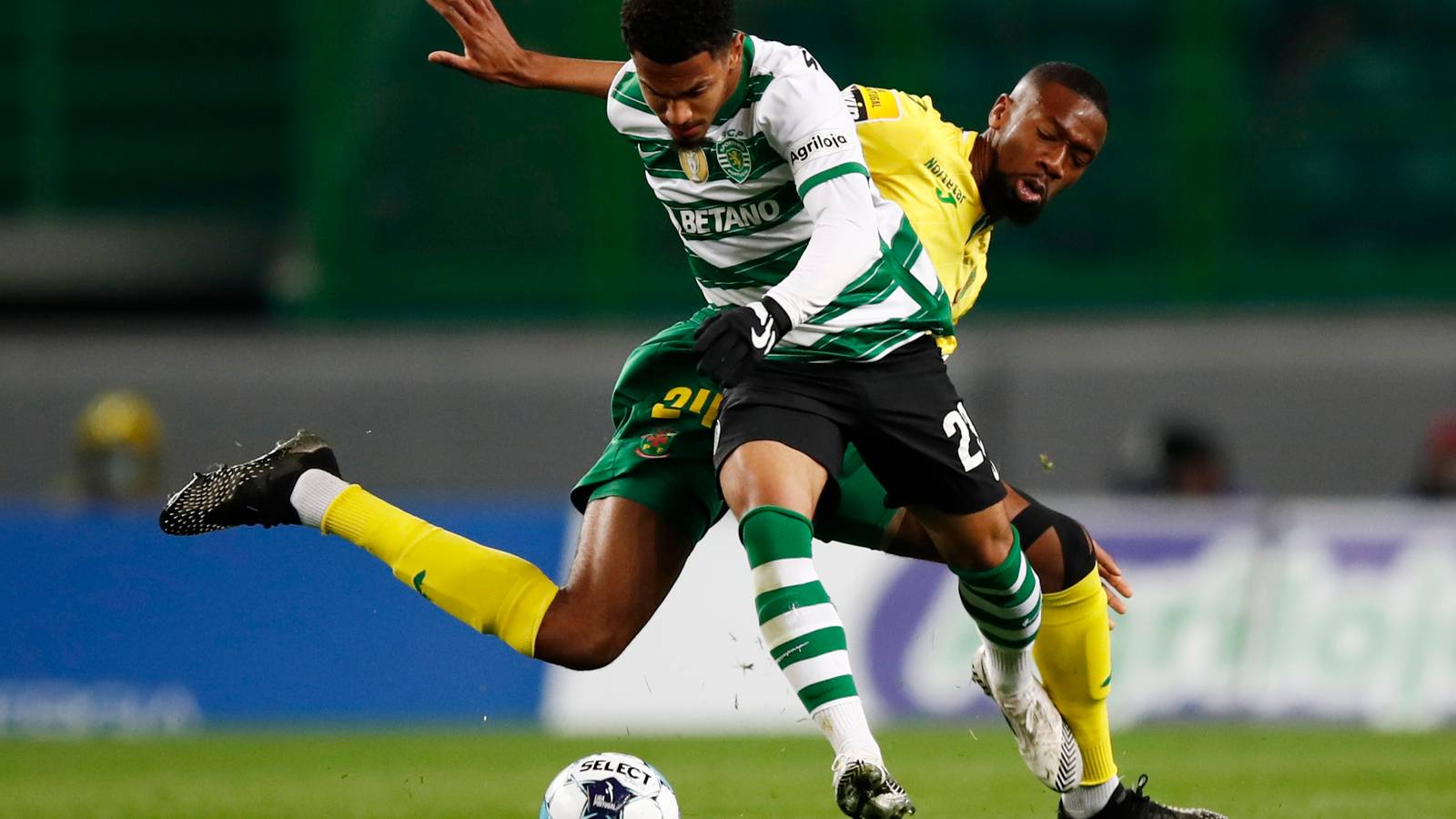 Marcus Edwards is thriving after Spurs exit