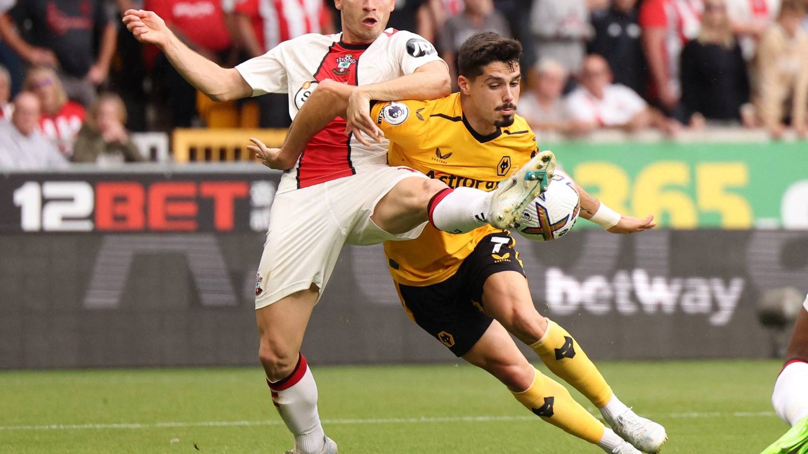 Perraud Southampton had a mare with Romain Perraud