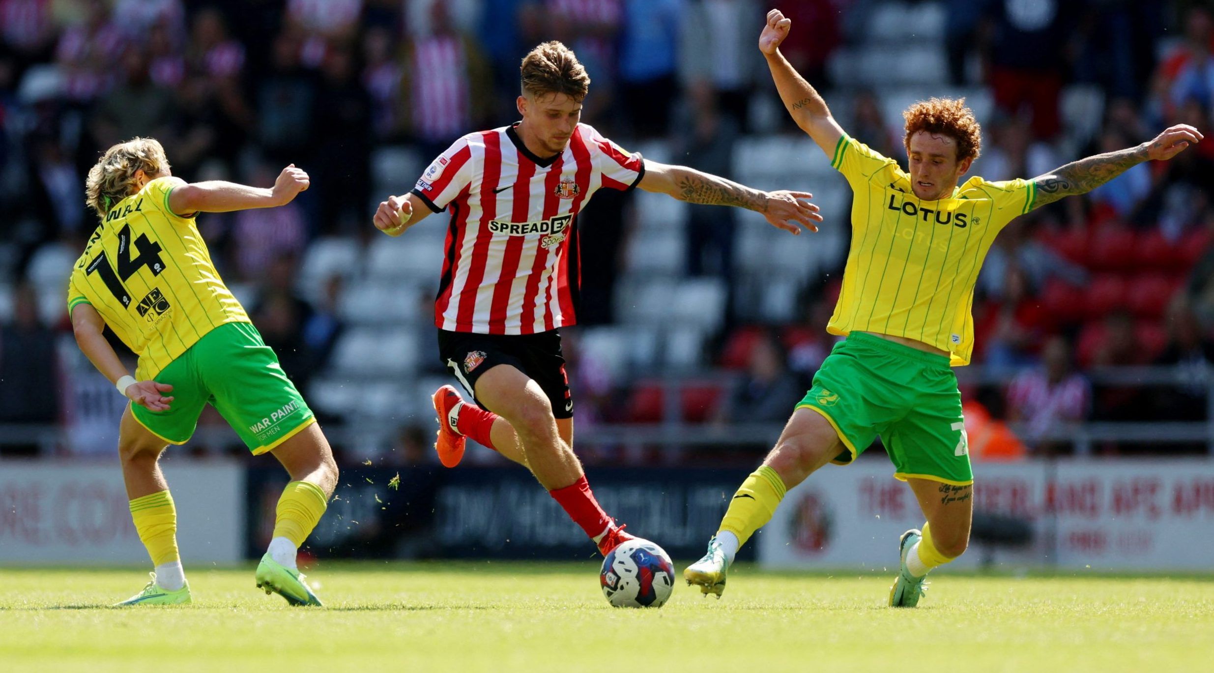 Sunderland's Dennis Cirkin in action against Norwich City in the Championship