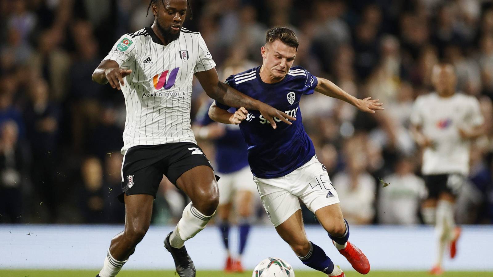 Rangers: Josh Onomah could 'do a job'