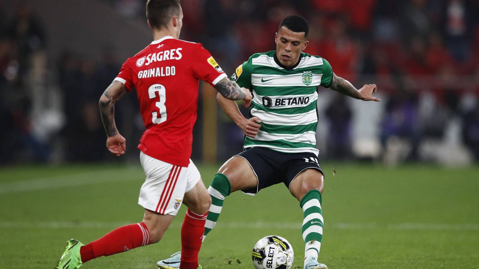 Tottenham: Pedro Porro 'sold' on joining Spurs