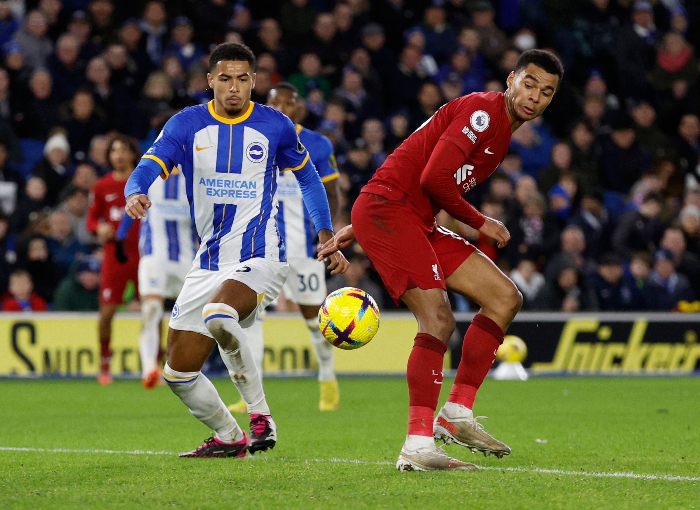 Soccer Football - Premier League - Brighton &amp; Hove Albion v Liverpool - The American Express Community Stadium, Brighton, Britain - January 14, 2023 Liverpool's Cody Gakpo in action with Brighton &amp; Hove Albion's Levi Colwill Action Images via Reuters/Andrew Couldridge EDITORIAL USE ONLY. No use with unauthorized audio, video, data, fixture lists, club/league logos or 'live' services. Online in-match use limited to 75 images, no video emulation. No use in betting, games or single club /le