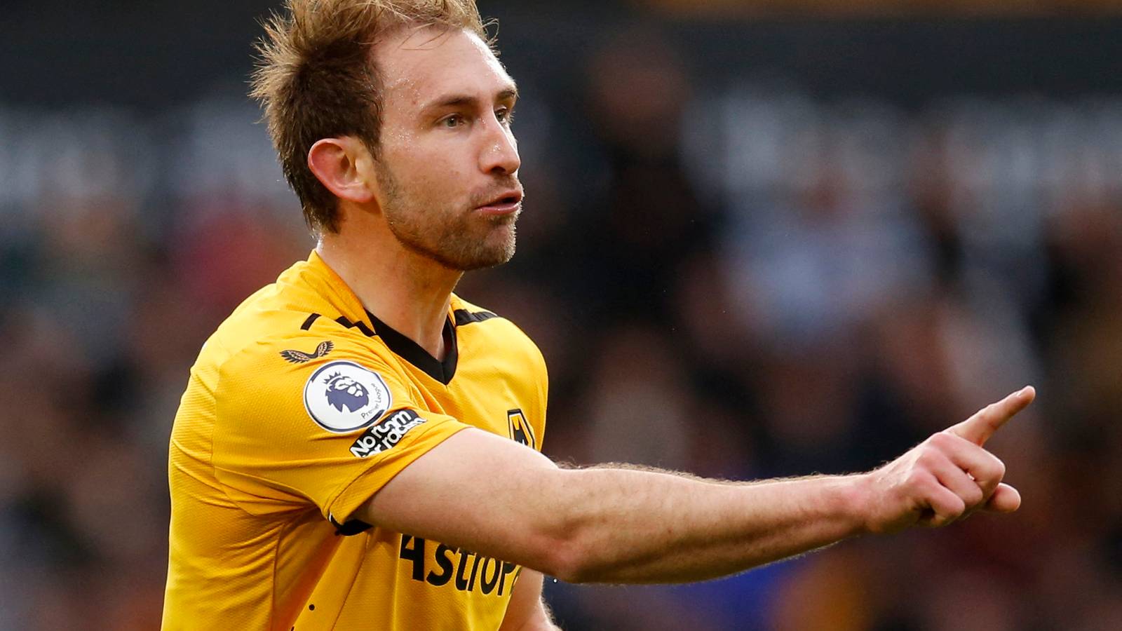 Crait Wolves Wolves: Craig Dawson was superb vs Spurs