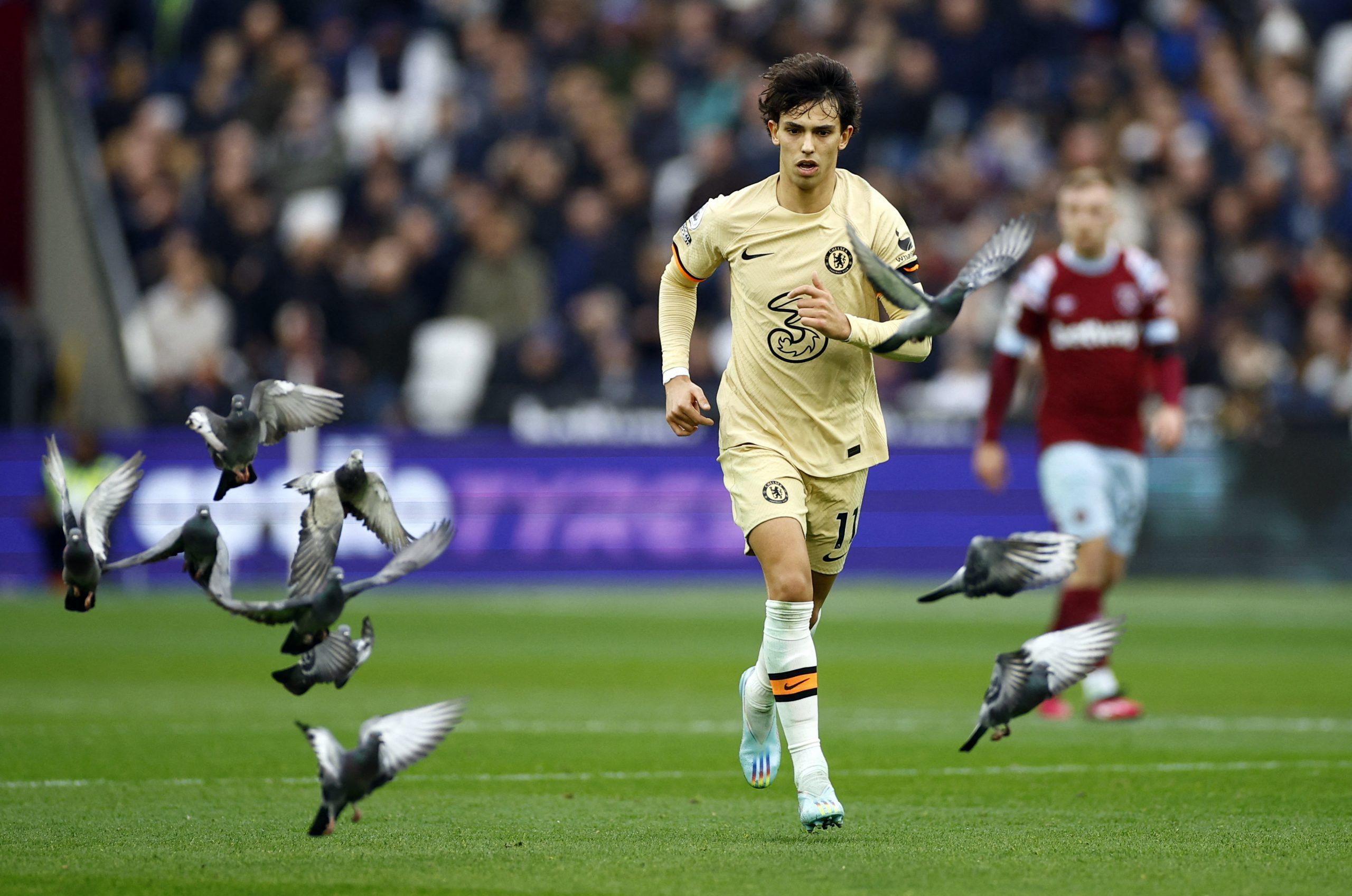 Soccer Football - Premier League - West Ham United v Chelsea - London Stadium, London, Britain - February 11, 2023 Chelsea's Joao Felix reacts as pigeons are seen on the pitch during the match Action Images via Reuters/John Sibley EDITORIAL USE ONLY. No use with unauthorized audio, video, data, fixture lists, club/league logos or 'live' services. Online in-match use limited to 75 images, no video emulation. No use in betting, games or single club /league/player publications.  Please contact your