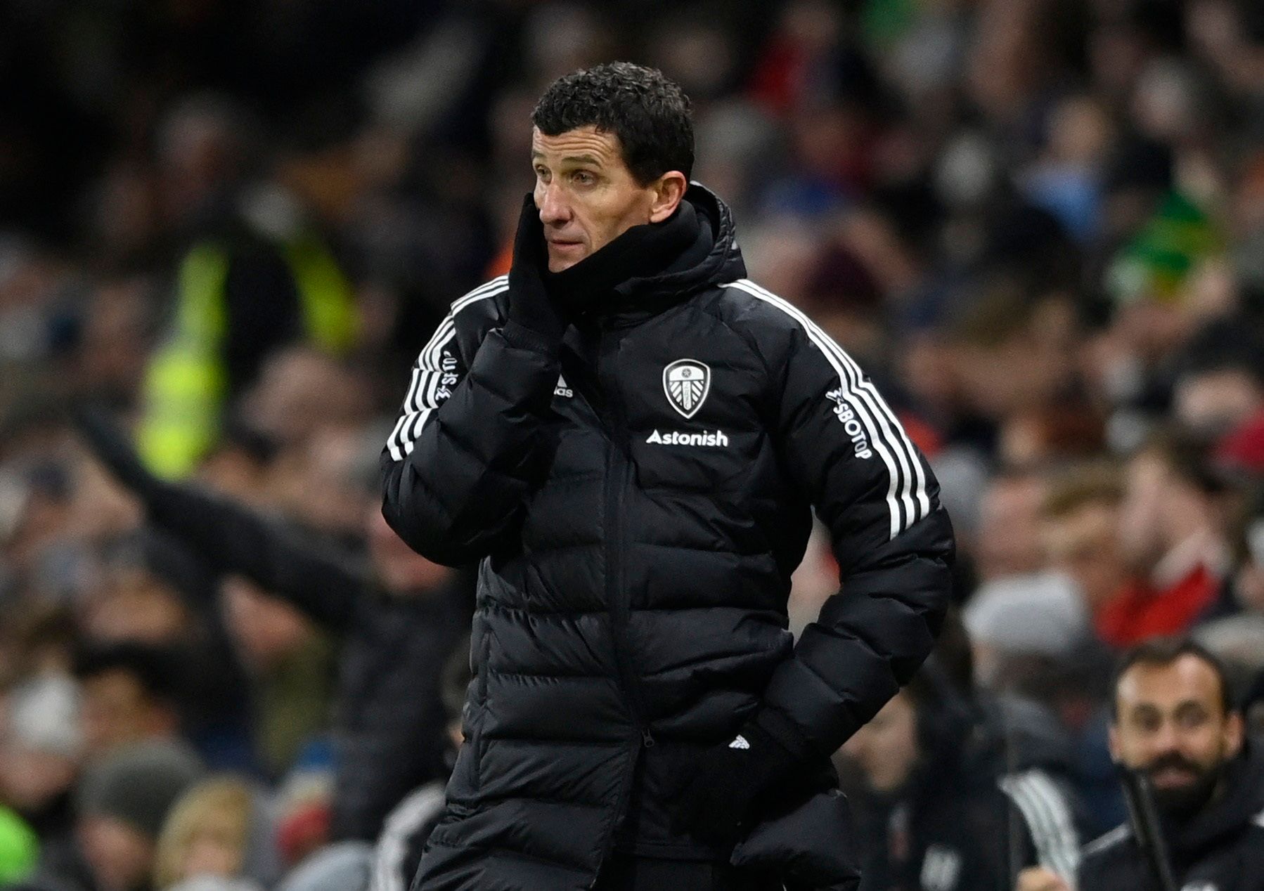 Soccer Football - FA Cup - Fifth Round - Fulham v Leeds United - Craven Cottage, London, Britain - February 28, 2023 Leeds United manager Javi Gracia REUTERS/Tony Obrien