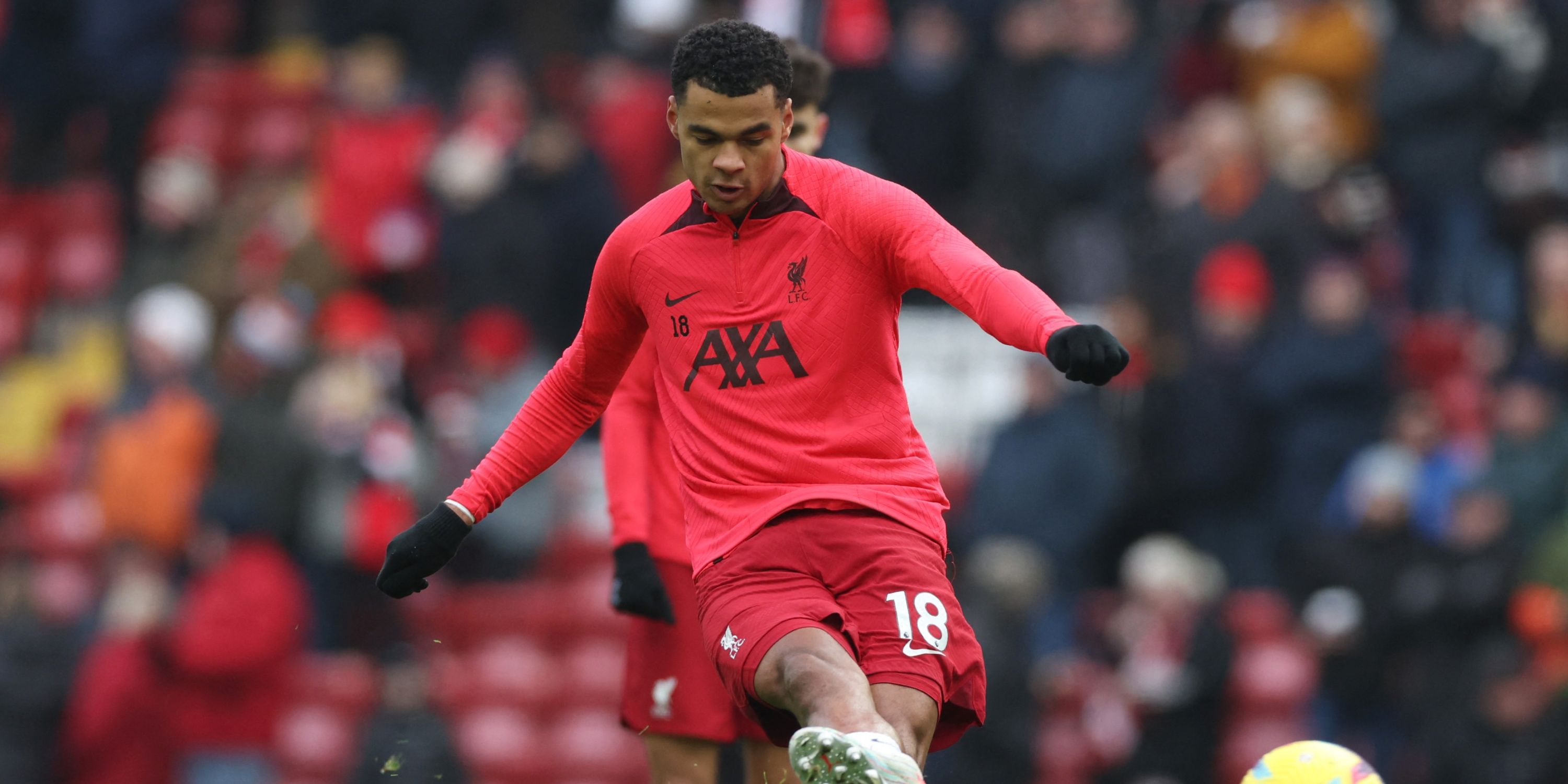 cody-gakpo-liverpool-brentford-klopp-premier-league-awful