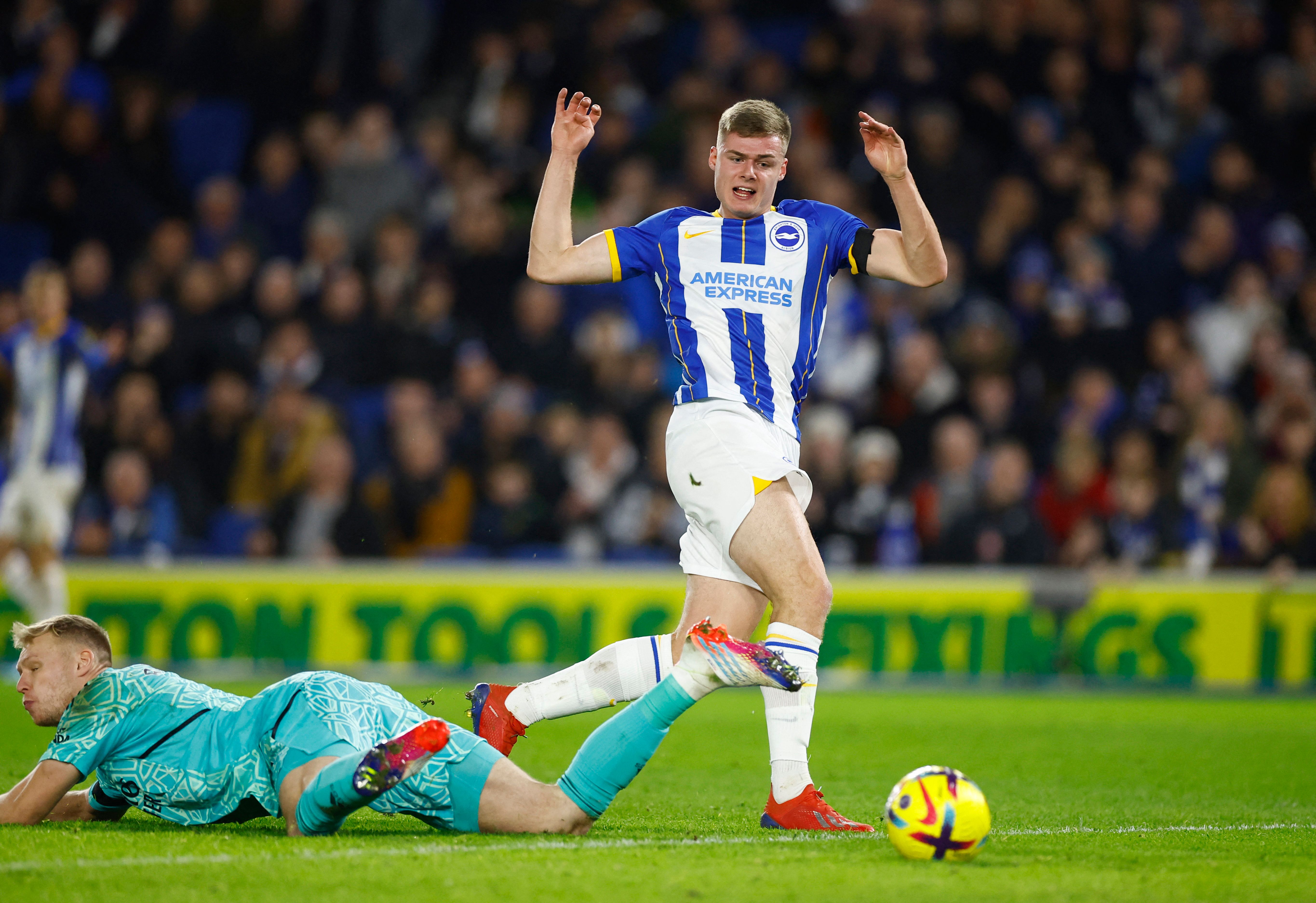 Brighton V Luton: Predictions, Preview & More