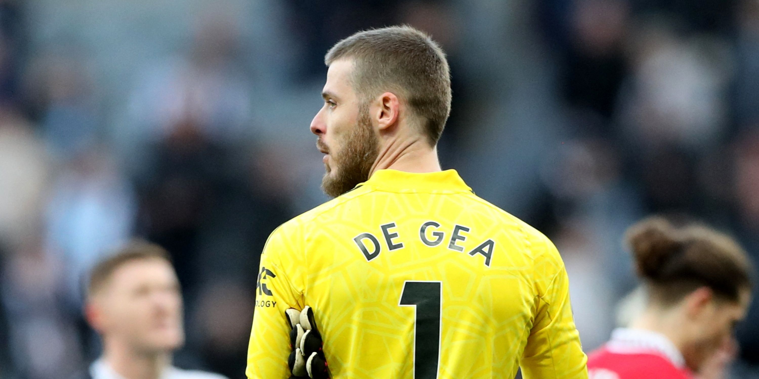 david de gea at manchester united