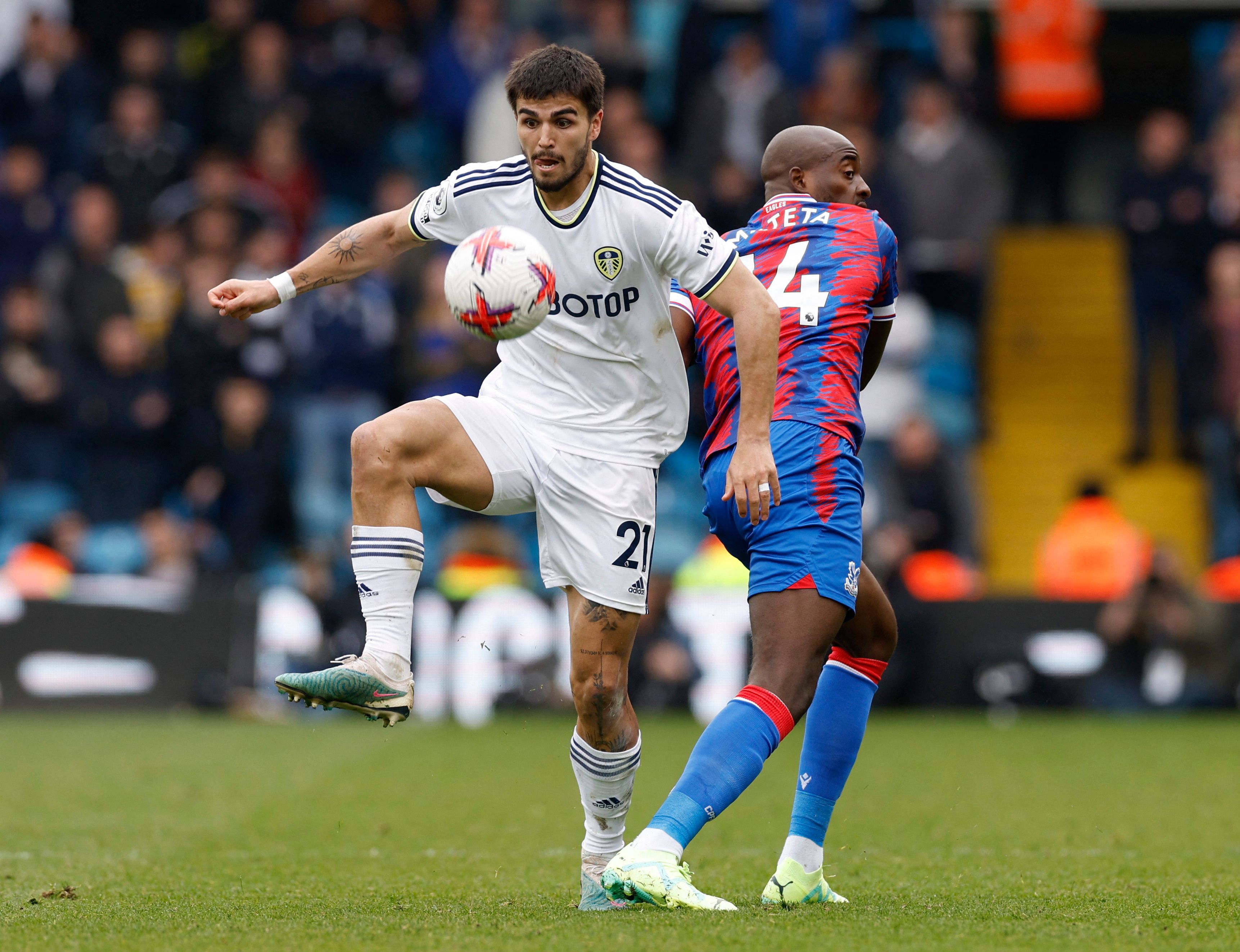 pascal-struijk-leeds-united