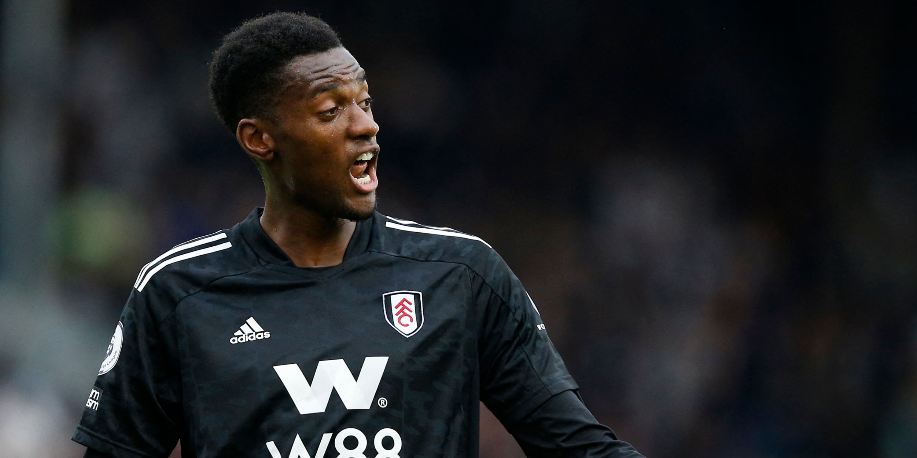 Adarabioyo-Fulham-Spurs-Andersen-Ange-Premier-League-transfer