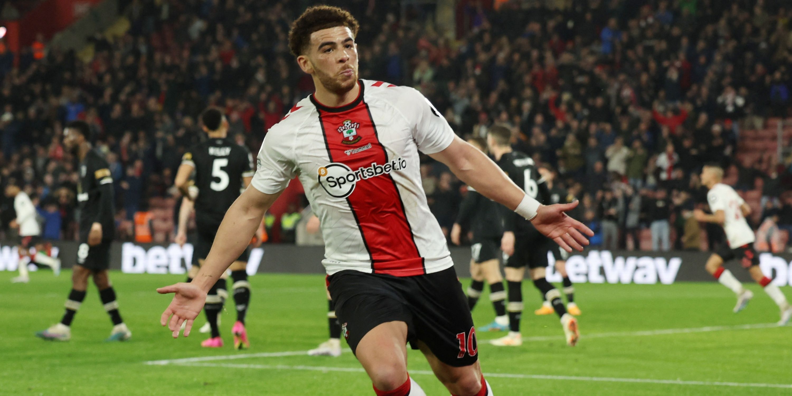 adams-southampton-championship-transfer-gossip-martin-premier-league