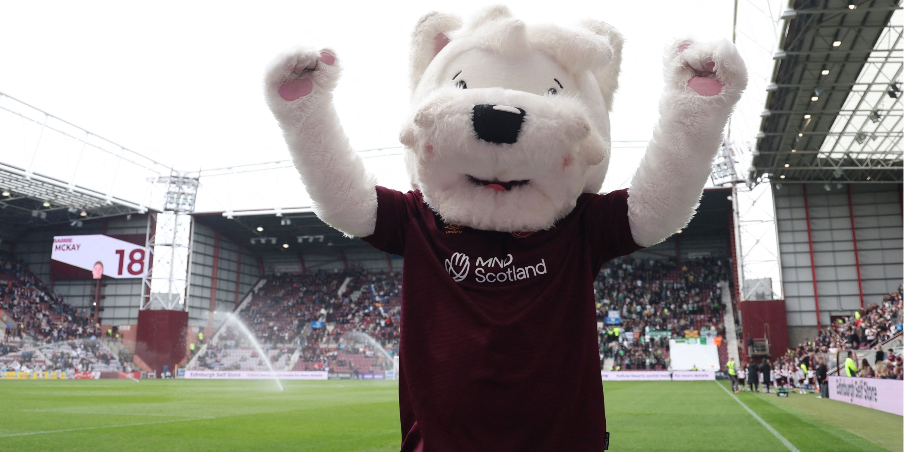 Are Hearts Fan Owned?