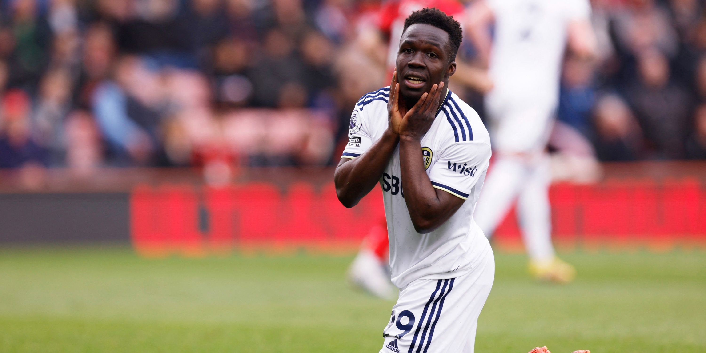 wilfried-gnonto-leeds-united