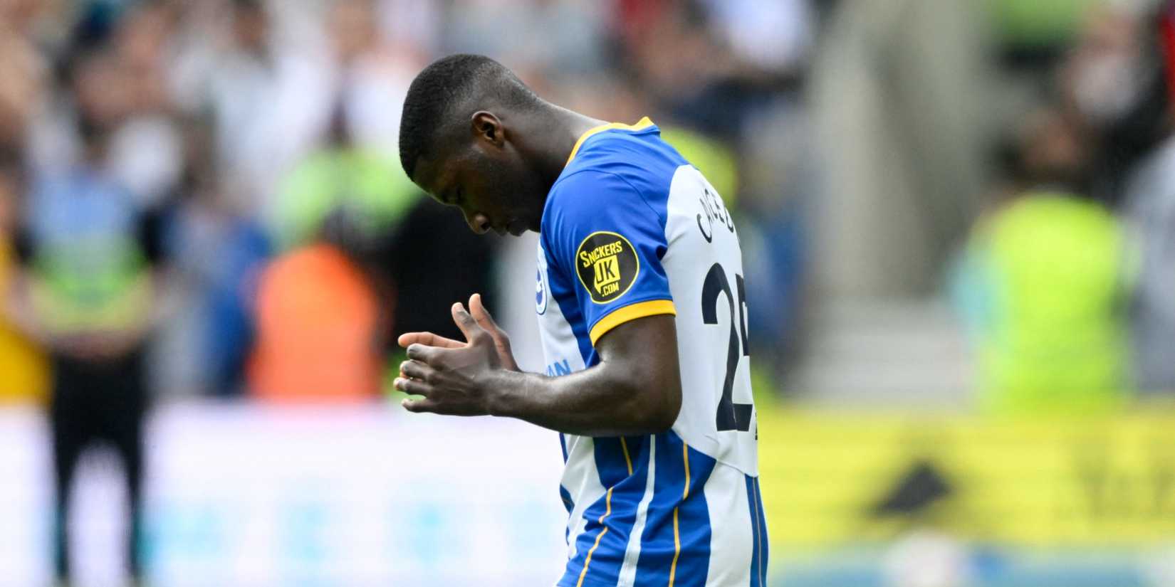 moises-caicedo-brighton-premier-league