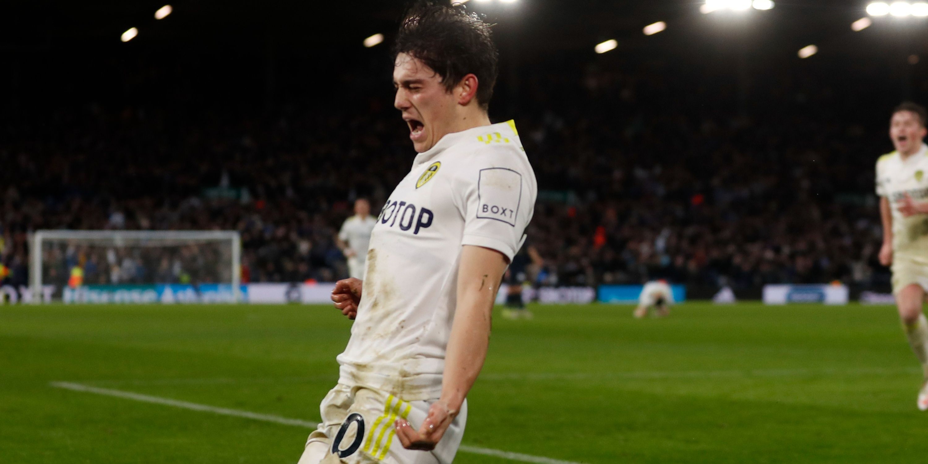 dan-james-leeds-championship-raphinha-farke