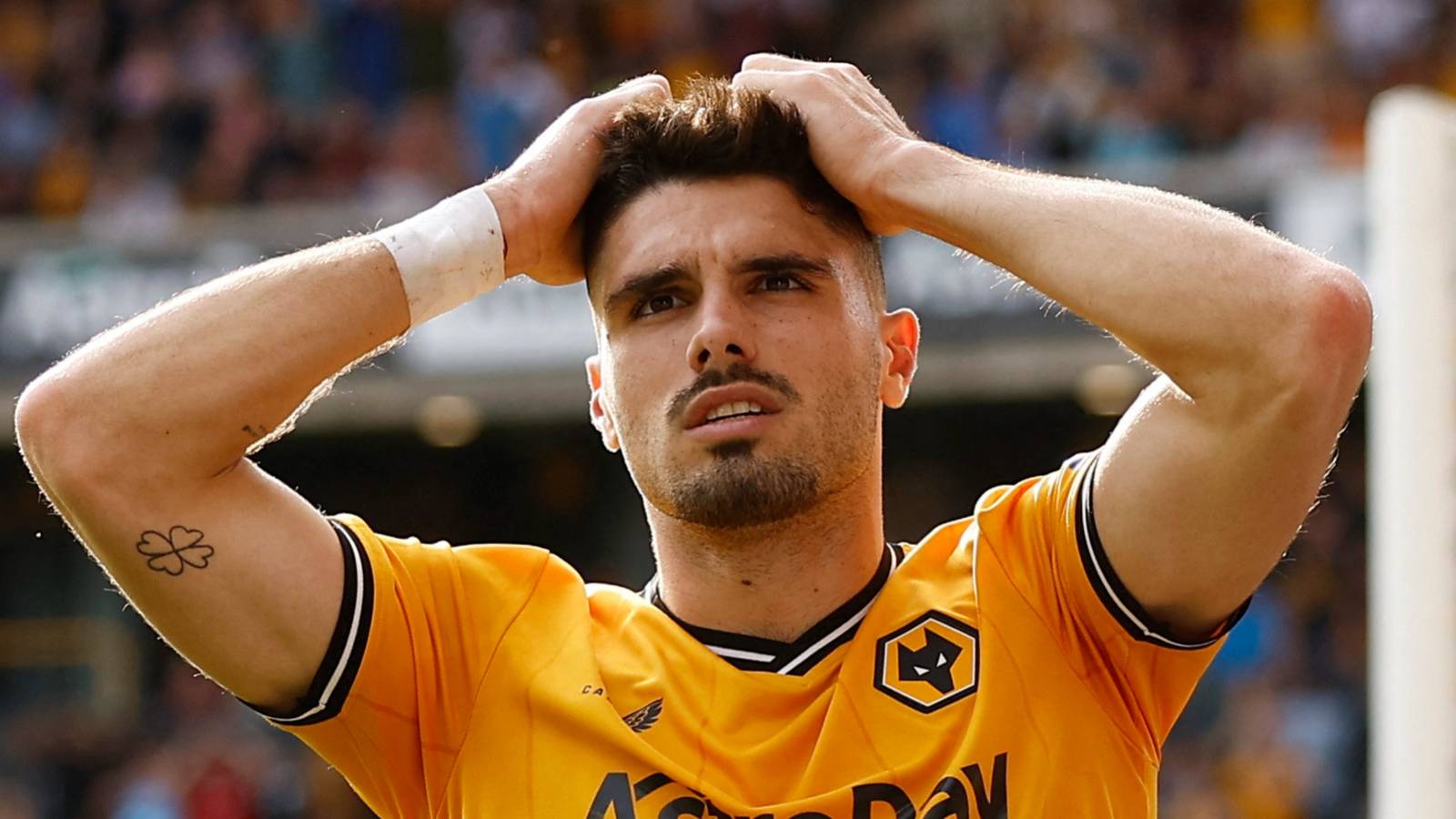 Edwards could ditch Tchatchoua by offloading Wolves new signing Pedro Neto Edwards could ditch Tchatchoua by offloading Wolves new signing Pedro Neto