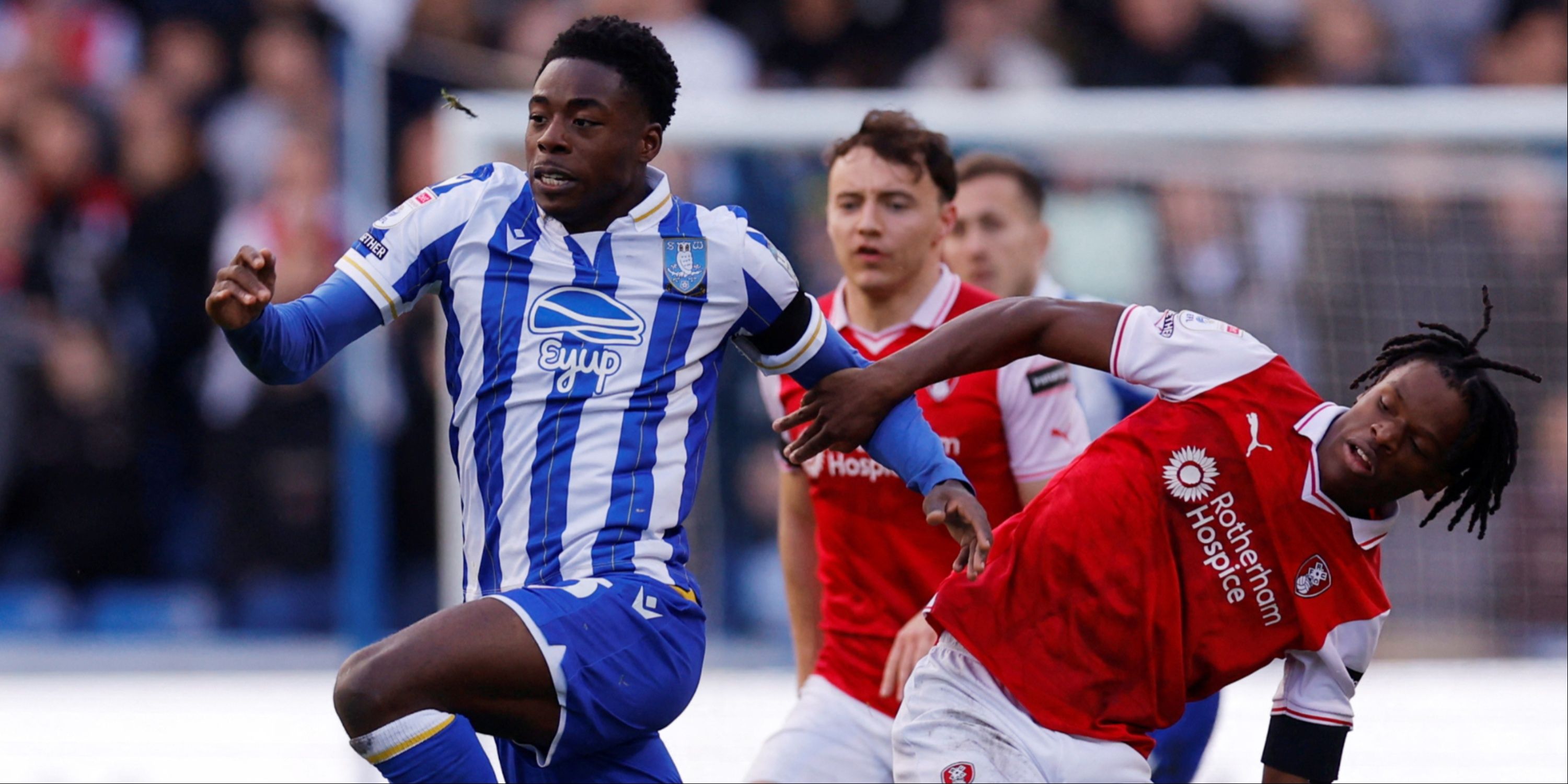 Rohl drops Paterson in predicted Sheffield Wednesday lineup v Preston