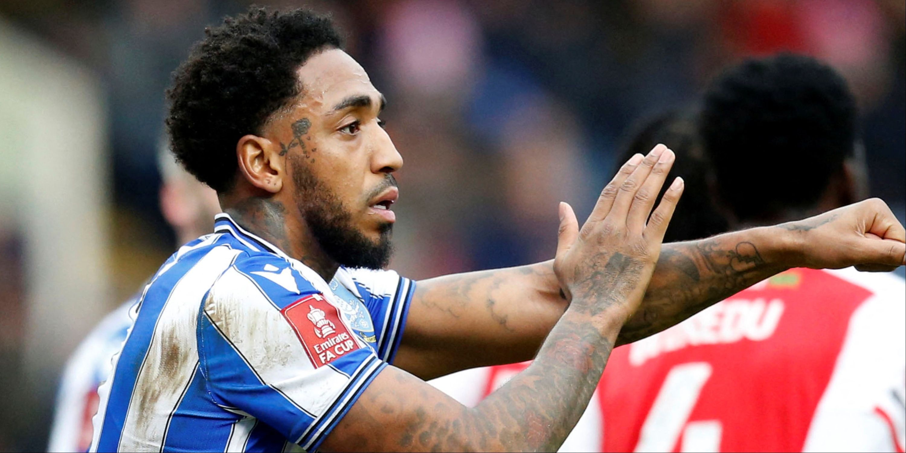 Mallik-Wilks-Sheffield-Wednesday