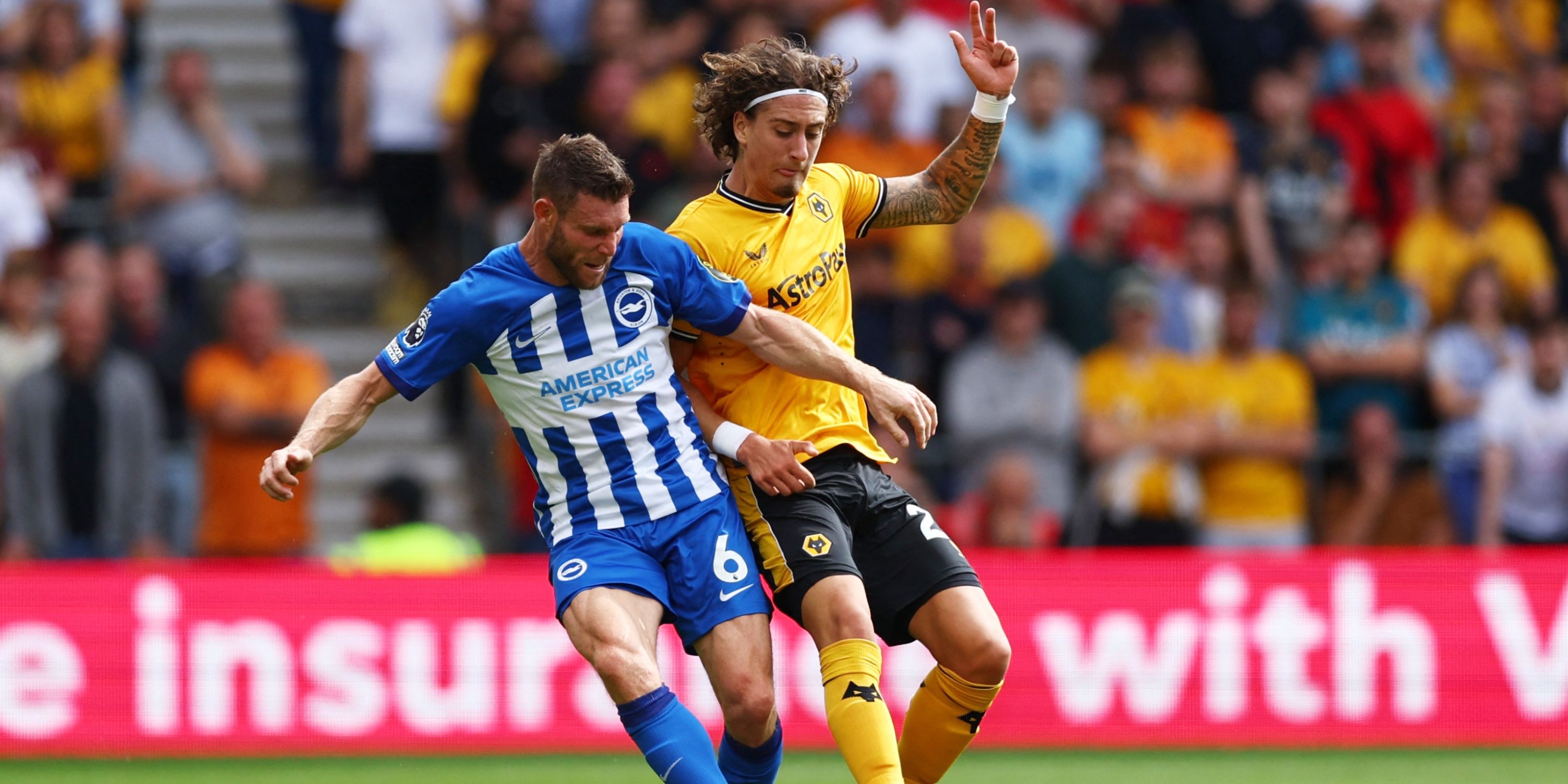 james-milner-brighton-and-hove-albion