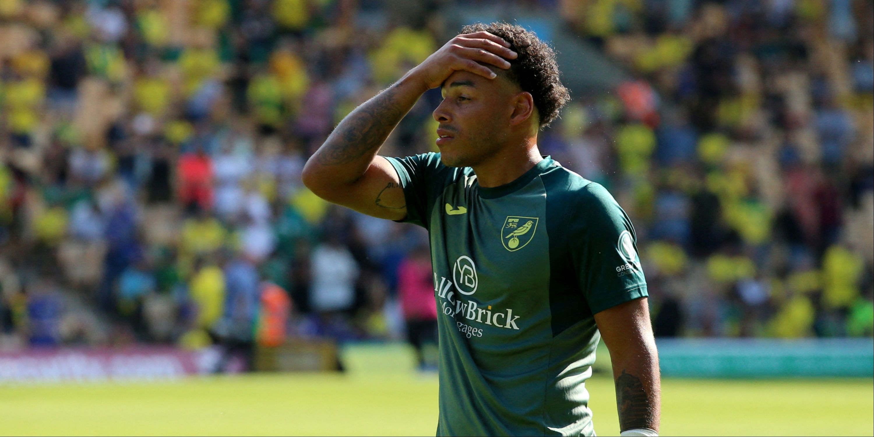 Onel-Hernandez-Norwich