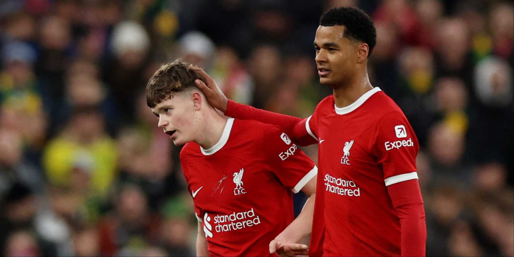 James-McConnell-Liverpool-Gakpo