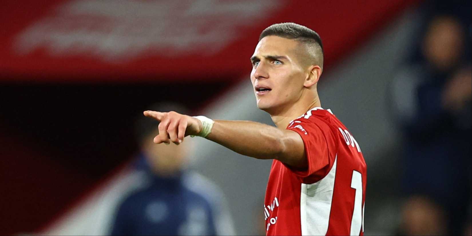 Nicholas Dominguez Forest