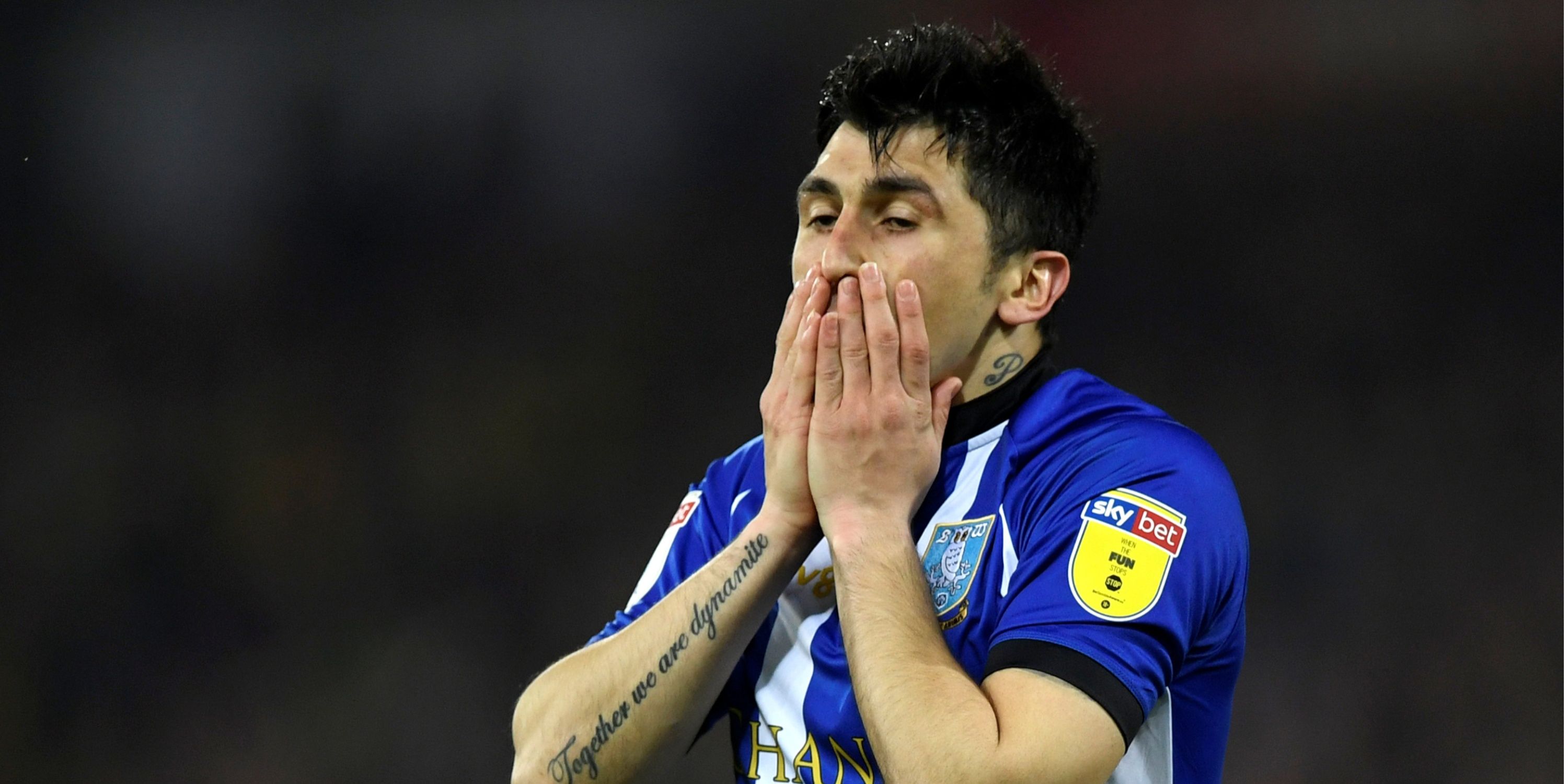 Fernando-Forestieri-Sheffield-Wednesday-1