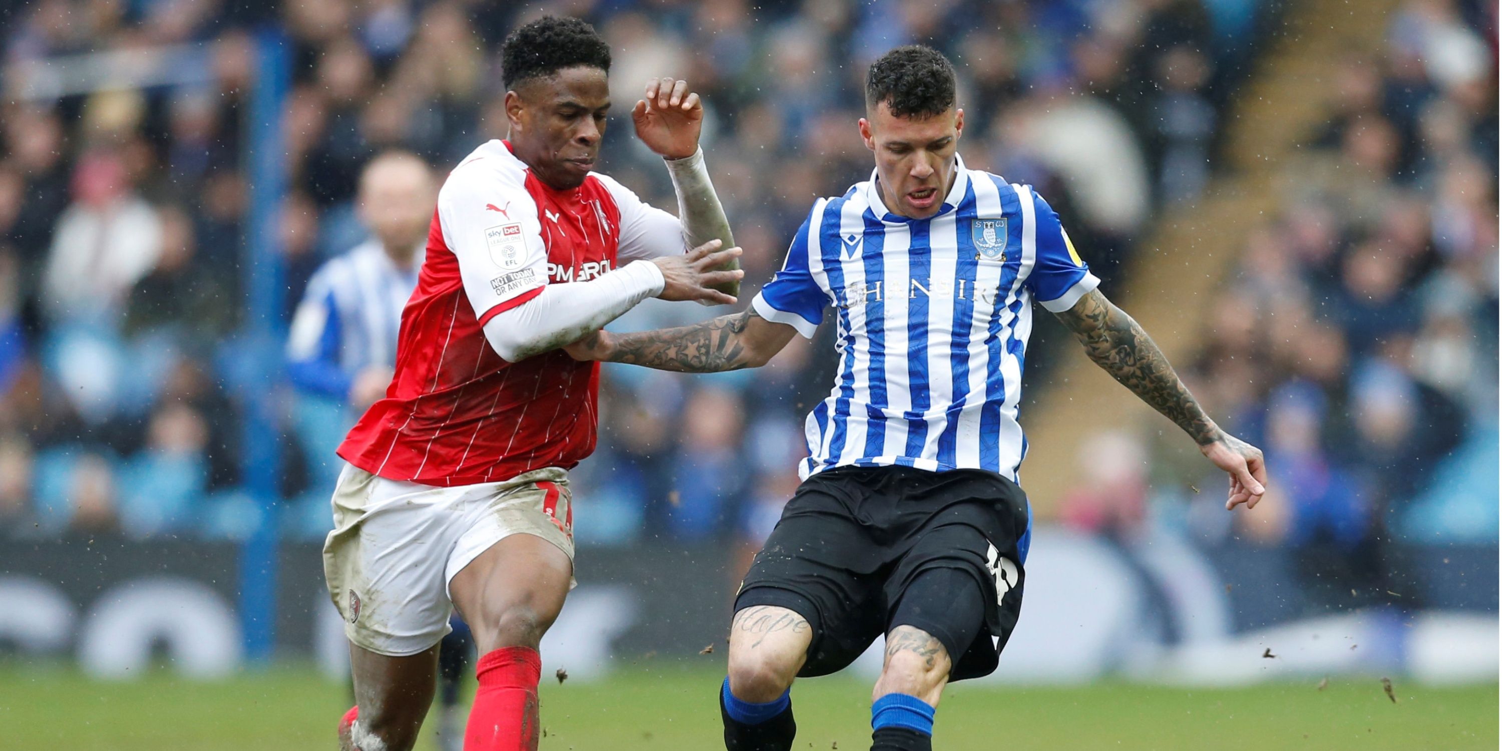 Marvin-Johnson-Sheffield-Wednesday-1