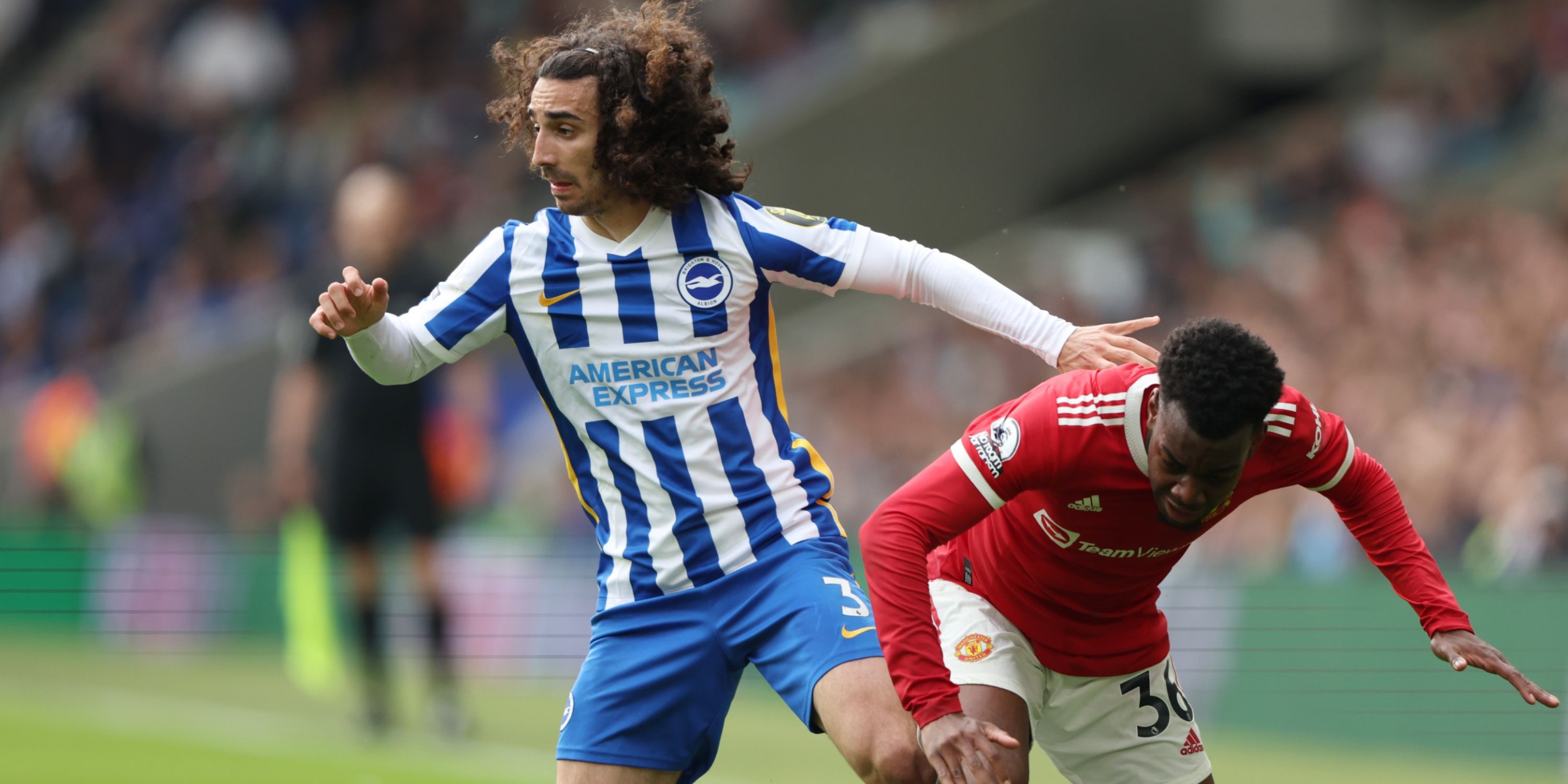 marc-cucurella-brighton