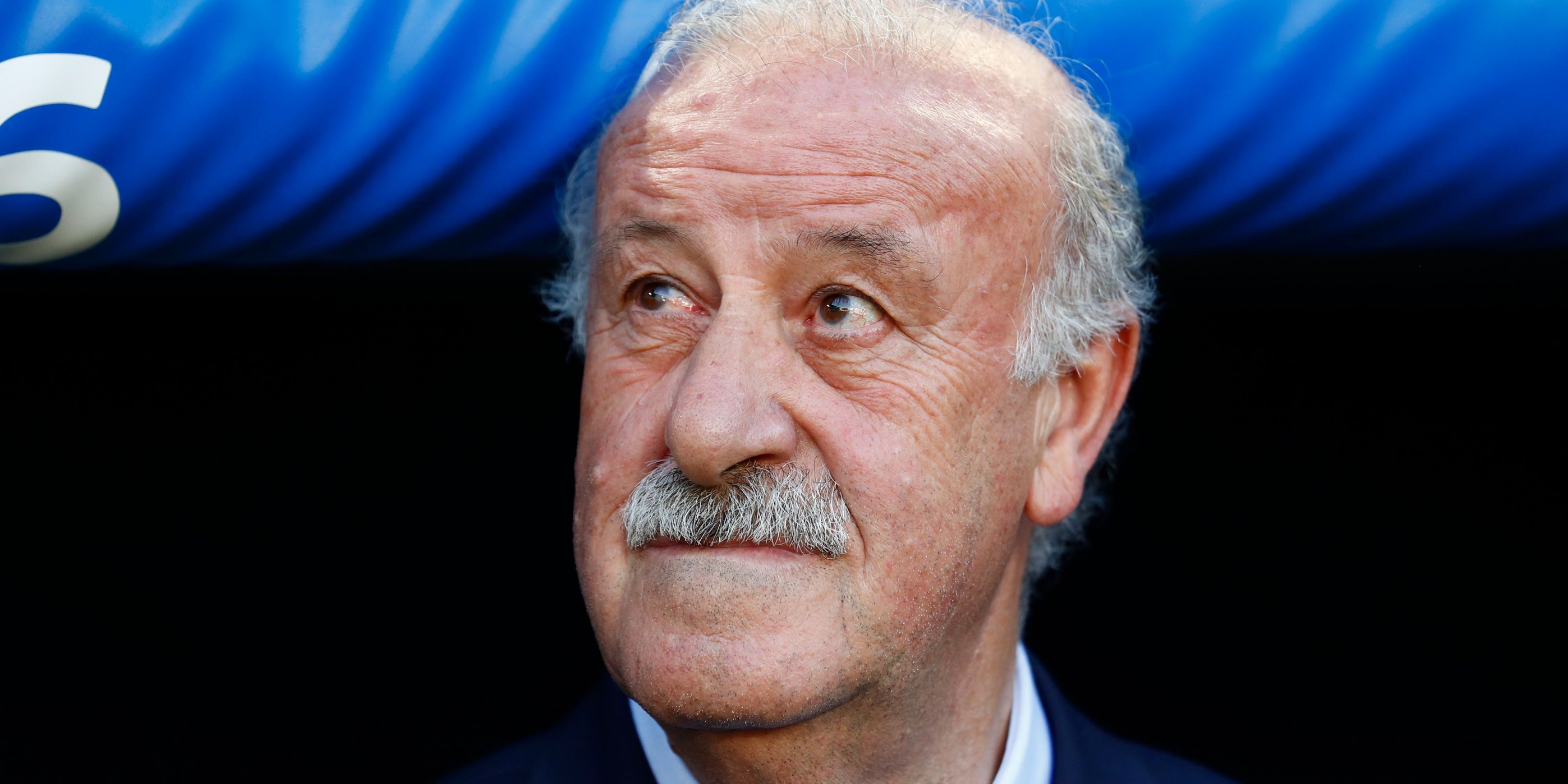 vicente-del-bosque-spain-manager