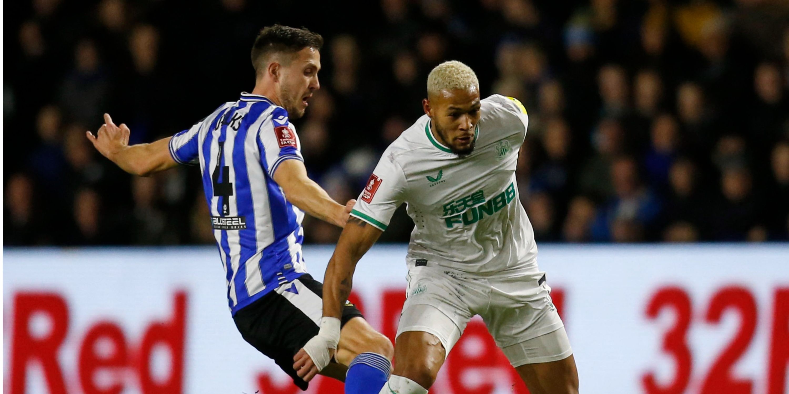 Will-Vaulks-Sheffield-Wednesday